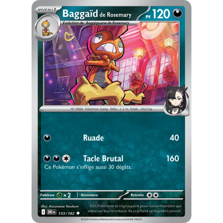 Baggaïd de Rosemary 133/182