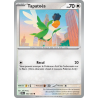 Tapatoès 160/182