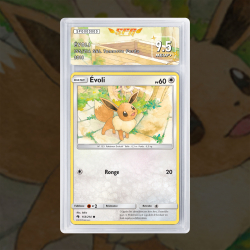 Gradation Évoli 155/214 Full Art | SFG Grading