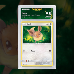 Gradation Évoli 104/156 Full Art | SFG Grading
