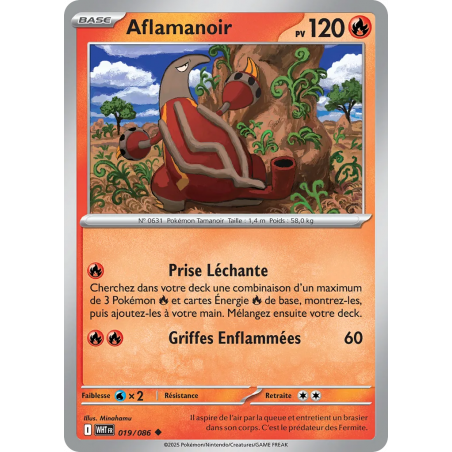 Aflamanoir 019/86