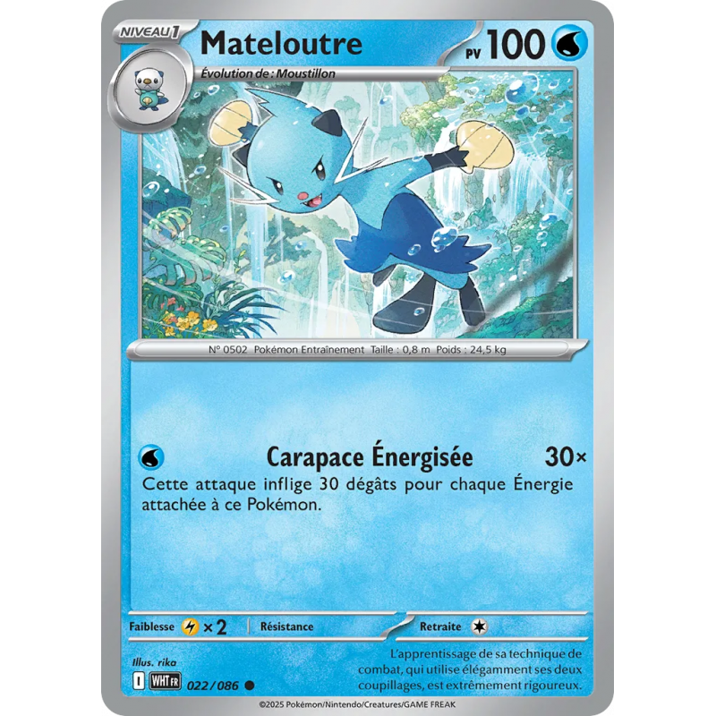 Mateloutre 022/86
