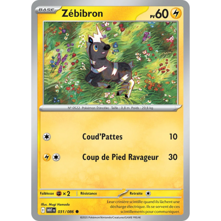 Zébibron 031/86