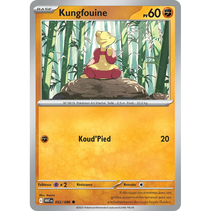 Kungfouine 052/86