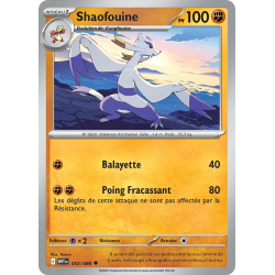 Shaofouine 053/86