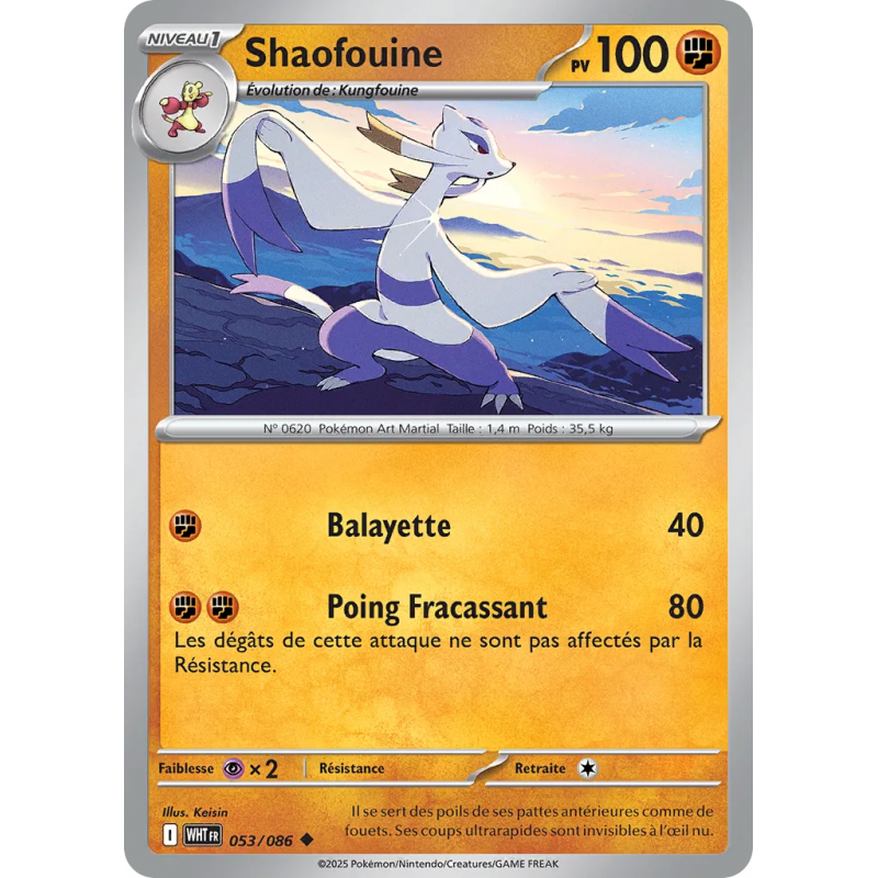 Shaofouine 053/86
