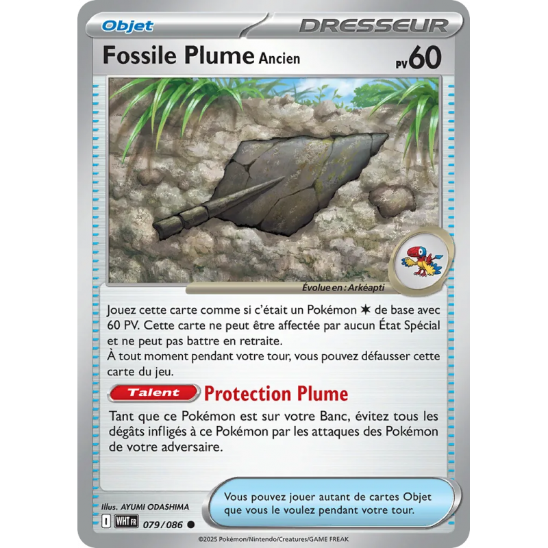 Fossile Plume Ancien 079/86
