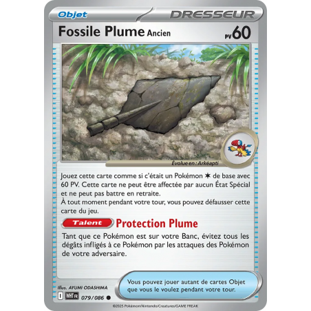 Fossile Plume Ancien 079/86