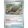 Fossile Plume Ancien 079/86