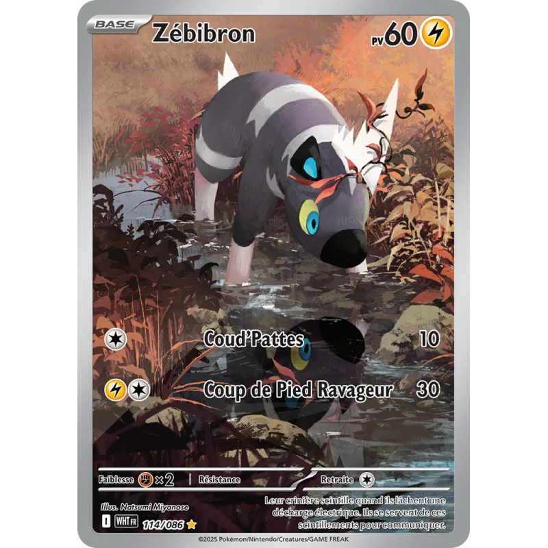 Zébibron 114/86