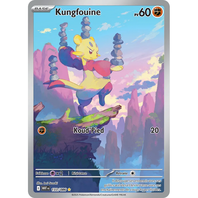 Kungfouine 133/86
