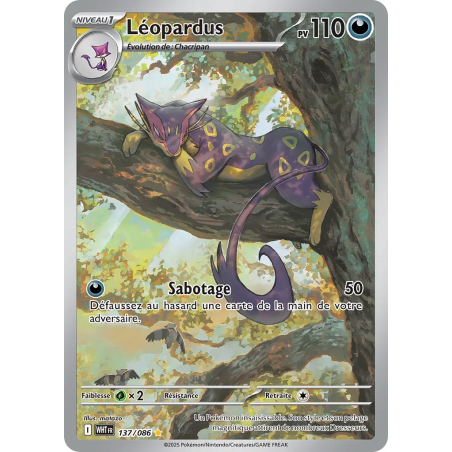 Léopardus 137/86