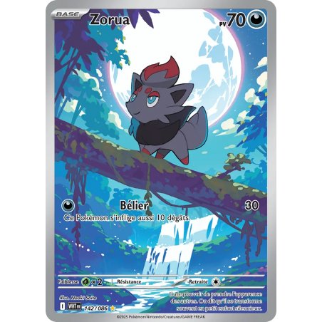 Zorua 142/86