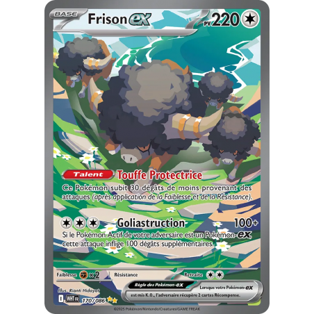 Frison ex 170/86