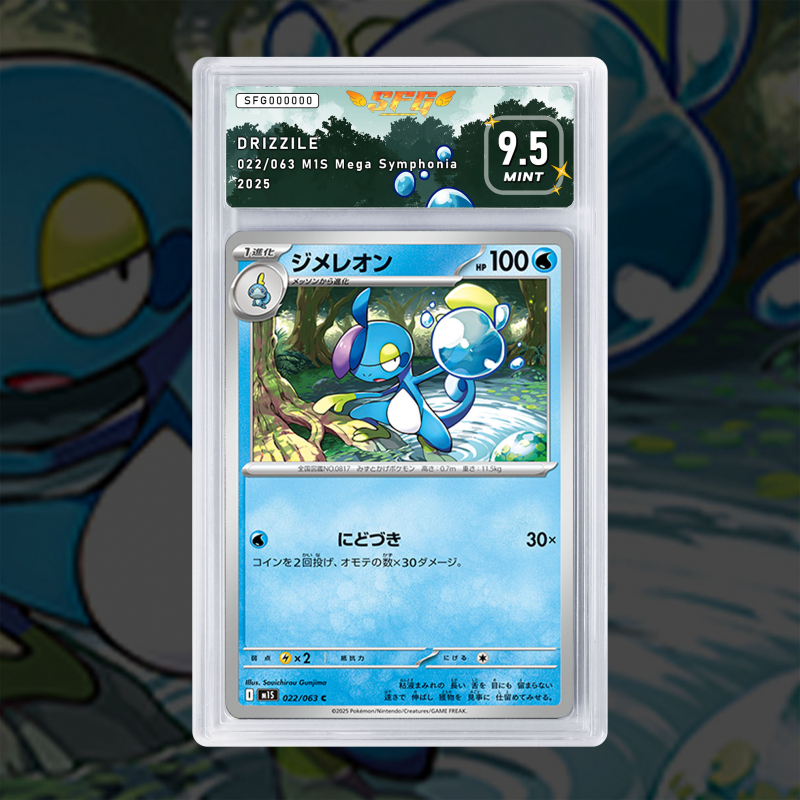 Gradation Arrozard 040/132 Full Art | SFG Grading
