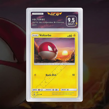 [FULL ART] VOLTORBE 30/73