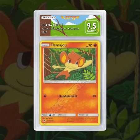 [FULL ART] FLAMAJOU 22/147