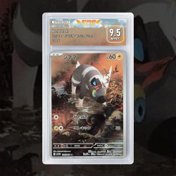 Gradation Zébibron 031/086 Full Art | SFG Grading