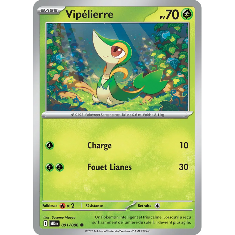 Vipélierre 001/86