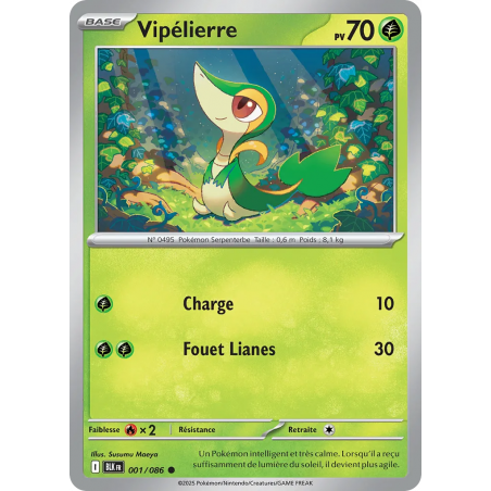 Vipélierre 001/86