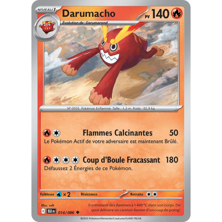 Darumacho 014/86