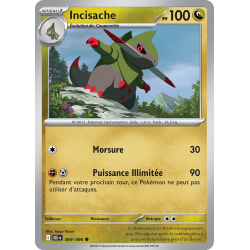 Incisache 069/86