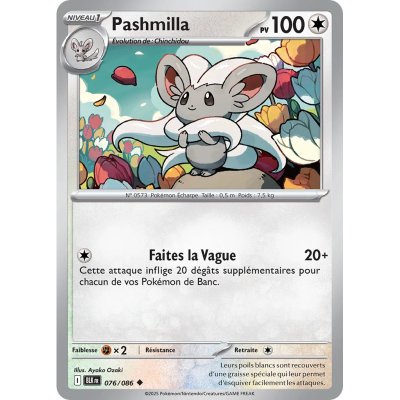 Pashmilla 076/86