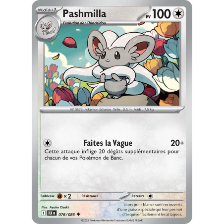 Pashmilla 076/86