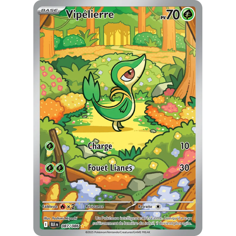 Vipélierre 087/86