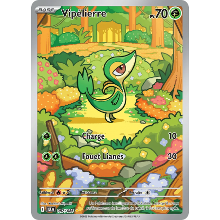 Vipélierre 087/86