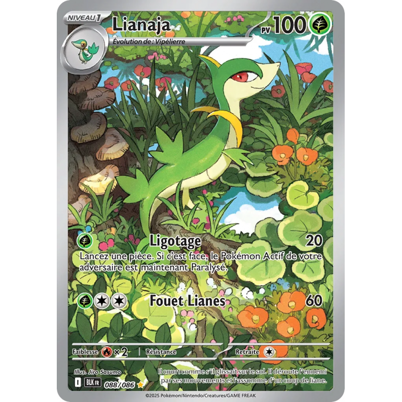 Lianaja 088/86