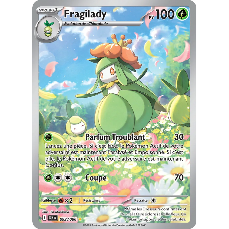 Fragilady 092/86