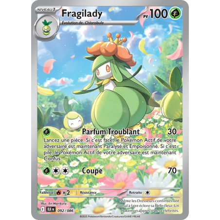 Fragilady 092/86