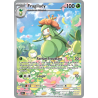 Fragilady 092/86