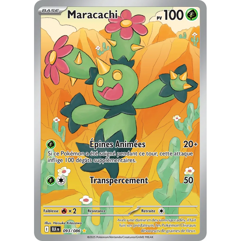 Maracachi 093/86