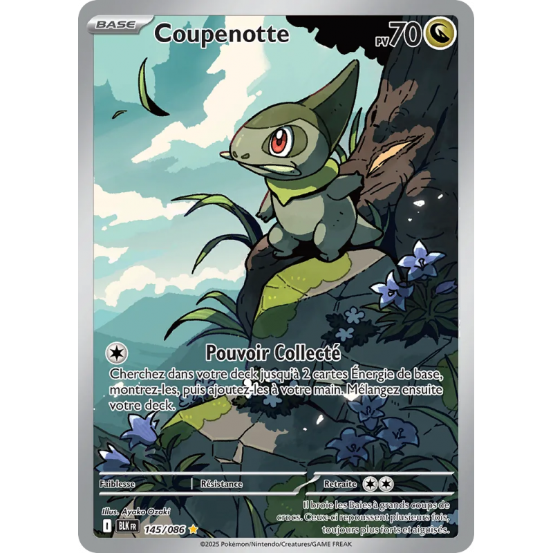 Coupenotte 145/86