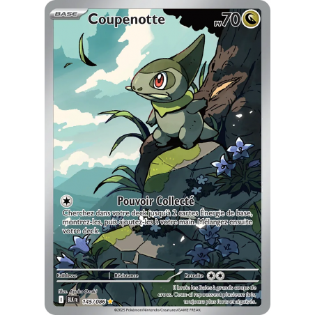 Coupenotte 145/86