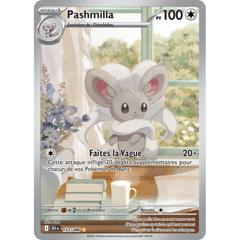 Pashmilla 153/86