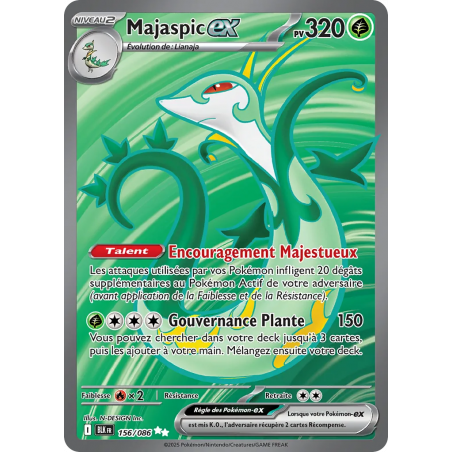Majaspic ex 156/86