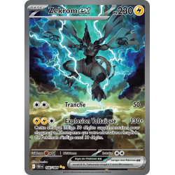 Zekrom ex 166/86