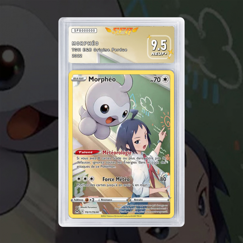 Gradation Morphéo TG11/TG30 Full Art | SFG Grading