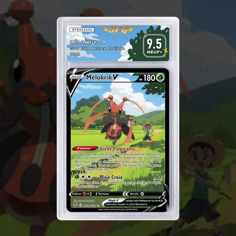 [FULL ART] MÉLOKRIK V TG12/TG30