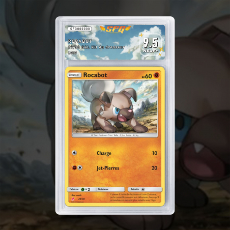 [FULL ART] ROCABOT 29/30