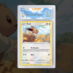 Gradation Évoli 125/203 Full Art | SFG Grading