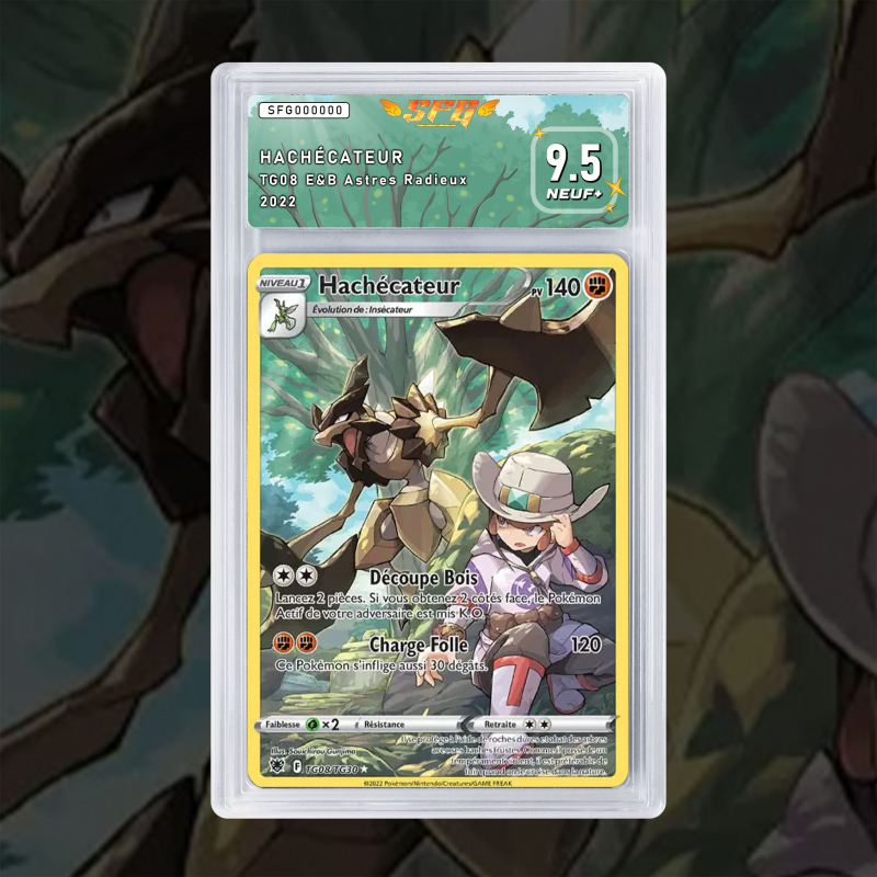 Gradation Hachécateur TG08/TG30 Full Art | SFG Grading