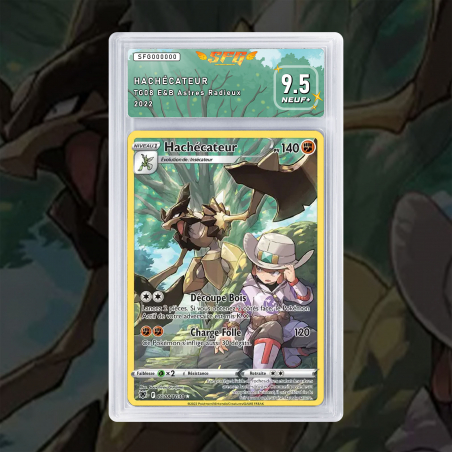 [FULL ART] HACHÉCATEUR TG08/TG30