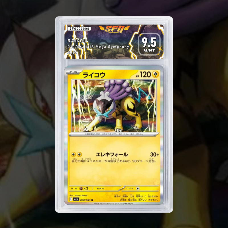 Gradation Raikou 048/132 Full Art | SFG Grading