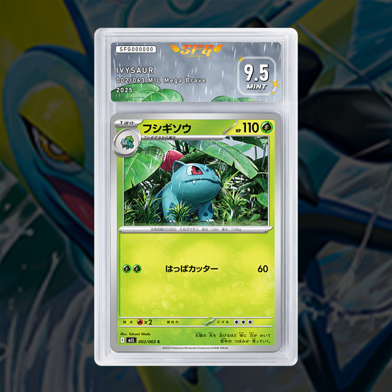 Gradation Herbizarre 002/132 Full Art | SFG Grading