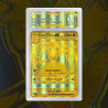 Gradation Mega Gardevoir Ex 187/132 Full Art | SFG Grading