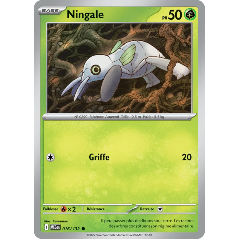 Ningale 016/132